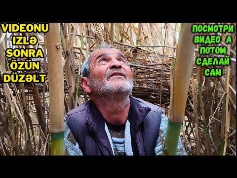 Видео: Как собрать тростник и сделать из него удочку