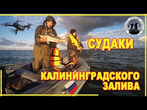 Видео: Рыбалка на судака  Калининградский залив