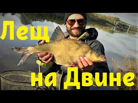 Видео: Ловля леща на р. Западная Двина