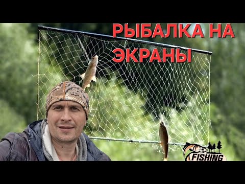 Видео: РЫБАЛКА НА ЭКРАНЫ ОСЕНЬЮ. ЭКРАНЫ КАК ВСЕГДА РАДУЮТ!