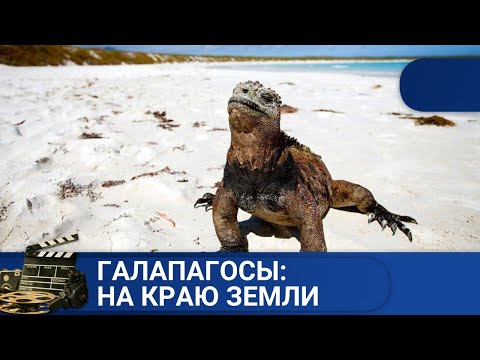 Видео: ГАЛАПАГОСЫ: НА КРАЮ ЗЕМЛИ / ДОКУМЕНТАЛЬНОЕ КИНО / 2019