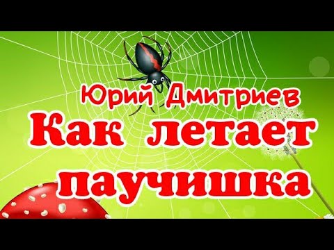 Видео: Как летает паучишка. Юрий Дмитриев. Рассказ для детей с картинками