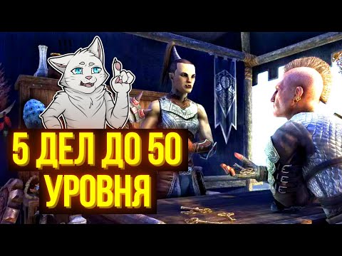 Видео: СДЕЛАЙ ЭТО ДО 50-ГО УРОВНЯ | ТЕСО