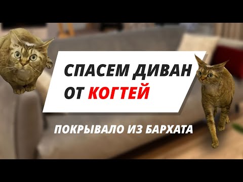 Видео: Чехол на диван