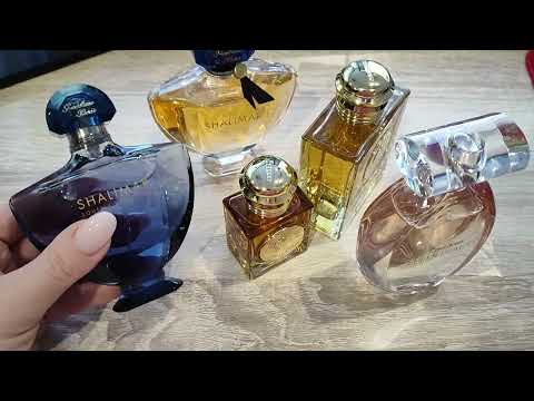 Видео: Из последнего ароматного❤️ #Новинки #покупки Burberry Goddess Intense, Shalimar Souffle