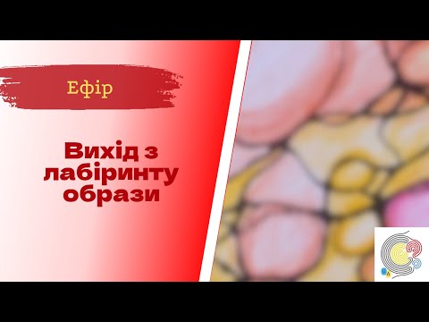 Видео: Недільна НейроГрафіка з ІПТ. Катерина Ганул.  Вихід з лабіринту образи.