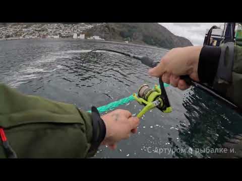 Видео: Я её всё таки  поймал. Наверное это последняя. Рыбадка с пирса.