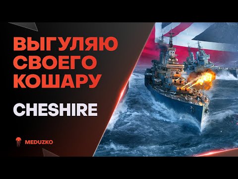 Видео: БОЕВОЙ КОТ ● CHESHIRE