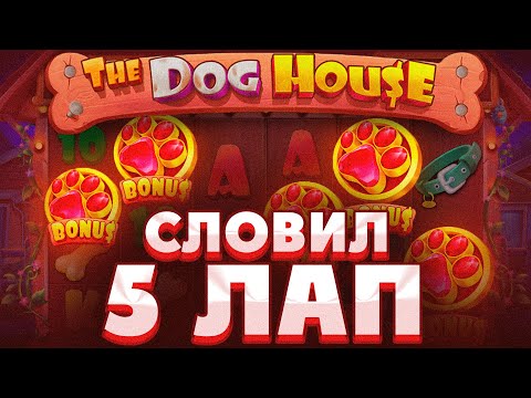 Видео: СПОЙМАЛ 5 ЛАП ПО СТАВКЕ 500Р В THE DOG HOUSE MEGAWAYS!!!КУЧА БУДОК И НЕРЕАЛЬНЫЕ СЫГРОВКИ!!!