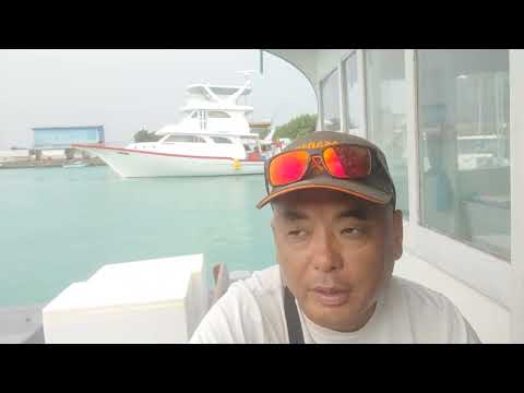 Видео: 18.Переезд с Дангети - Махибаду - Фериду .Паром.Кои,попугаи.Обед на пароме.Обзор отеля Feridhoo Inn.