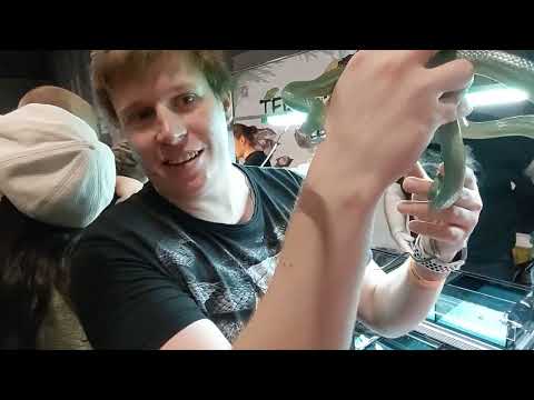 Видео: Рептилиум осень 2023 -  skvirtal Reptile  в гуще событий. 7 октябрь)))