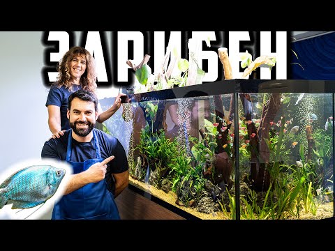 Видео: ЗАРИБЯВАМЕ АКВАРИУМ 1000 ЛИТРА