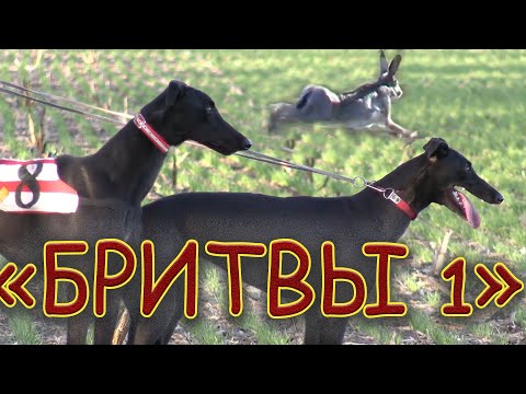 Видео: "Бритвы" ч1. Состязания памяти В В  Дороничева 13. 11. 2020г.