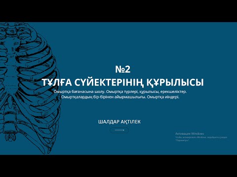 Видео: ОСТЕОЛОГИЯ | №2(1) САБАҚ | ТҰЛҒА СҮЙЕКТЕРІНІҢ ҚҰРЫЛЫСЫ:  ОМЫРТҚА БАҒАНАСЫ