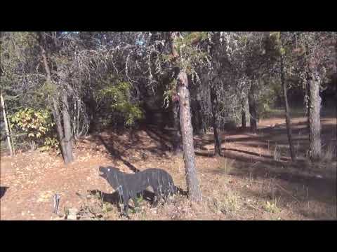 Видео: Канадские отшельники. Часть 938. Там чудеса, там лодки стонут...