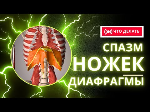 Видео: Спазм ножек диафрагмы. Скрутка тела. Расслабление диафрагмы.