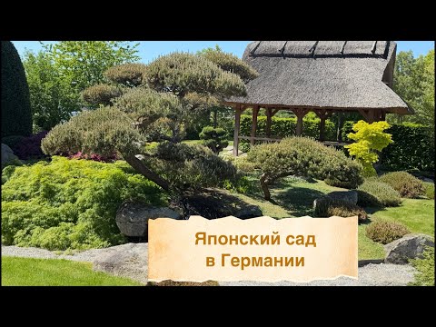 Видео: Прогулка по японским садам: koi, формы и философия 🌿 Park der Gärten 🌿