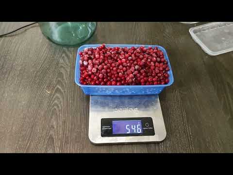 Видео: Вкуснейшая настойка из брусники