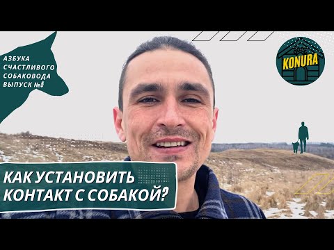 Видео: Как установить контакт с собакой?  Азбука счастливого собаковода. Выпуск 5