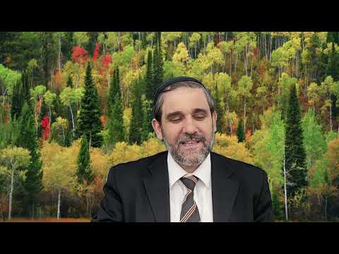 Видео: Притворился инвалидом и забрал деньги - Pretended to be disabled and took the money, Rabbi Tabibov