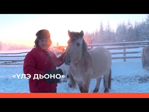 Видео: «Үлэ дьоно» (05.03.23)