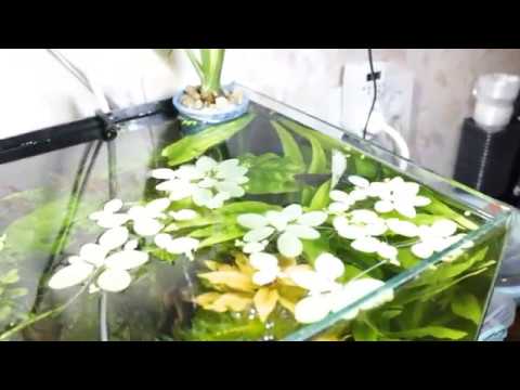 Видео: Куб - прошло 4 месяца.