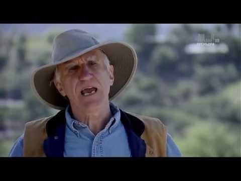 Видео: 02 Мастер по созданию бассейнов