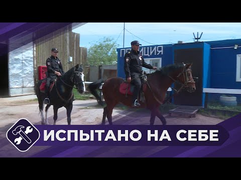 Видео: Испытано на себе: Конная полиция