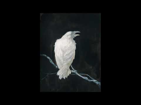 Видео: Михаил Елизаров — Чёрный Коптер