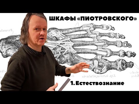 Видео: Шкафы «Пиотровского» — Естествознание