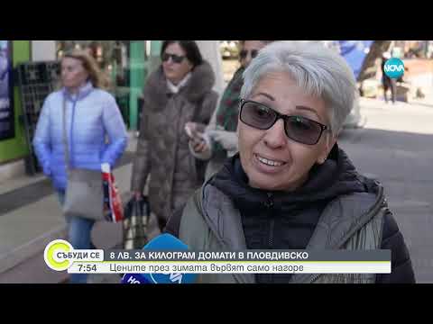 Видео: 8 лв. за килограм домати в Пловдивско: Цените през зимата вървят само нагоре