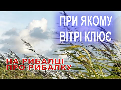 Видео: Який напрямок вітру підійде для рибалки. Від якого вітру чекати хороший кльов.