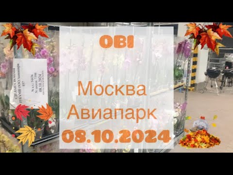 Видео: 🍁🍁ОБИ Москва Авиапарк 08.10.24🍁