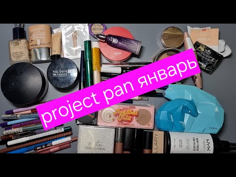 Видео: Project Pan январь 2025