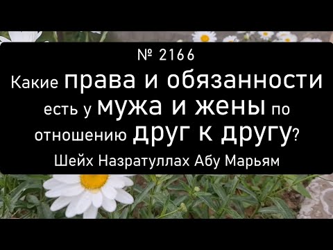 Видео: Какие права и обязанности есть у мужа и жены по отношению друг к другу?