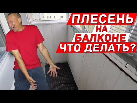 Видео: Плесень на балконе. Почему нельзя запенивать холодный балкон?