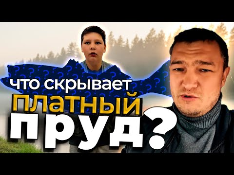 Видео: 🎣 НАС РАЗВЕЛИ? Правда о платной рыбалке.