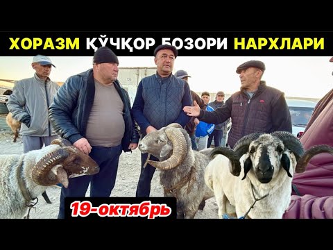 Видео: ХОРАЗМ КАТТА ҚЎЧҚОР САВДОСИ. Урганч ғойбу қўчқор бозори 19-октября 2025 г.