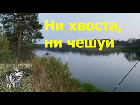 Видео: Рыбалка на Нерли. Поречье, Калязинский район, Тверская область