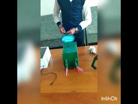 Видео: 21-кылымдын интелектуалдары номер 101 К.Момбекова мектеби Каныбек у Турсунбай