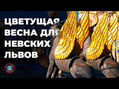 Видео: ЦВЕТУЩАЯ ВЕСНА ДЛЯ НЕВСКИХ ЛЬВОВ