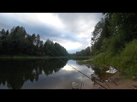 Видео: Рыбалка с ночевкой. Грибы возле дороги. Сырть.