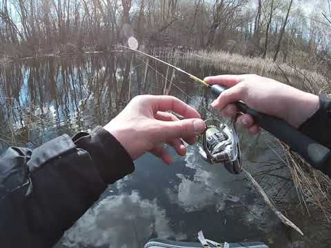 Видео: Рыбалка на нано джиг риг,  типа мормышинг, первый выход с Black Adder 1.8m/0.5-1.8gr FNTM602XUL-S-20