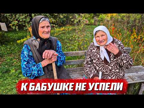 Видео: Всё пошло не по плану... | Орловская обл, Покровский р/н д.Морозово