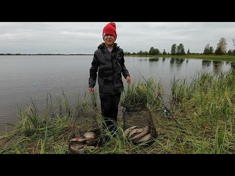 Видео: ПОПАЛИ НА ДАЛЬНЕЕ ОЗЕРО В ПЕРВЫЙ РАЗ НЕ ПЕШКОМ)! РЫБАЛКА В НЕ КЛЁВЫЙ ДЕНЬ) НА ЯМАЛЕ ЧУДНОЙ ОСЕНЬЮ!