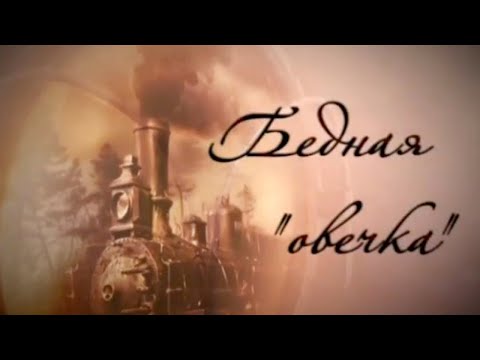 Видео: Бедная овечка @SMOTRIM_KULTURA
