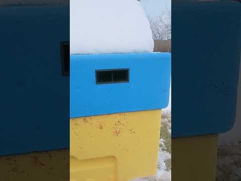 Видео: 8 ноября 2025 г.