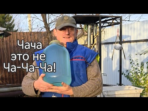 Видео: Подмосковная чача из винограда Изабелла. Первичная перегонка.