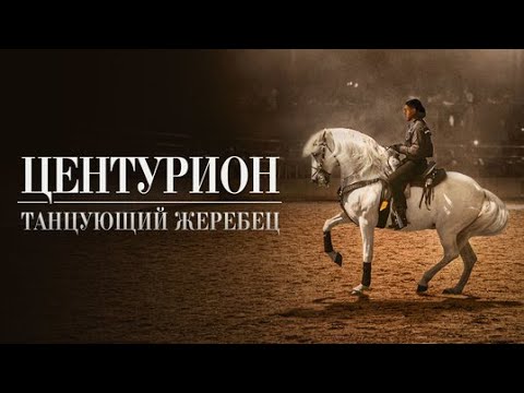Видео: 👨‍👨‍👧‍👧ДЕВУШКА НАХОДИТ УТЕШЕНИЕ В ЗАНЯТИЯХ ВЕРХОВОЙ ЕЗДОЙ! Центурион: танцующий жеребец. Семейный