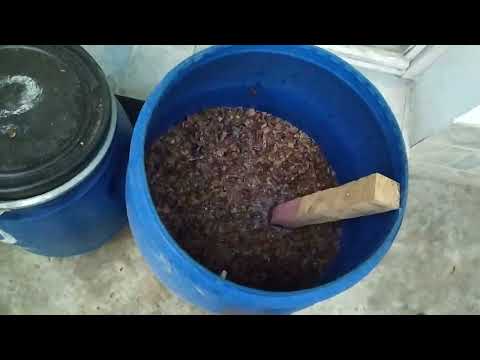 Видео: Как да си направим Вино и Ракия! #wine #вино #ракия #grape #виноград домашнее вино.